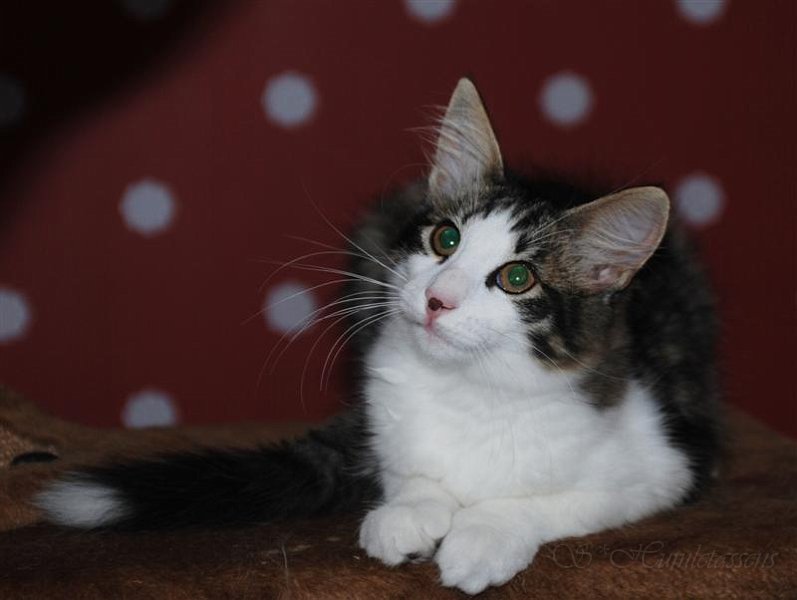 DSC_1515.JPG - Little Madame Flod!